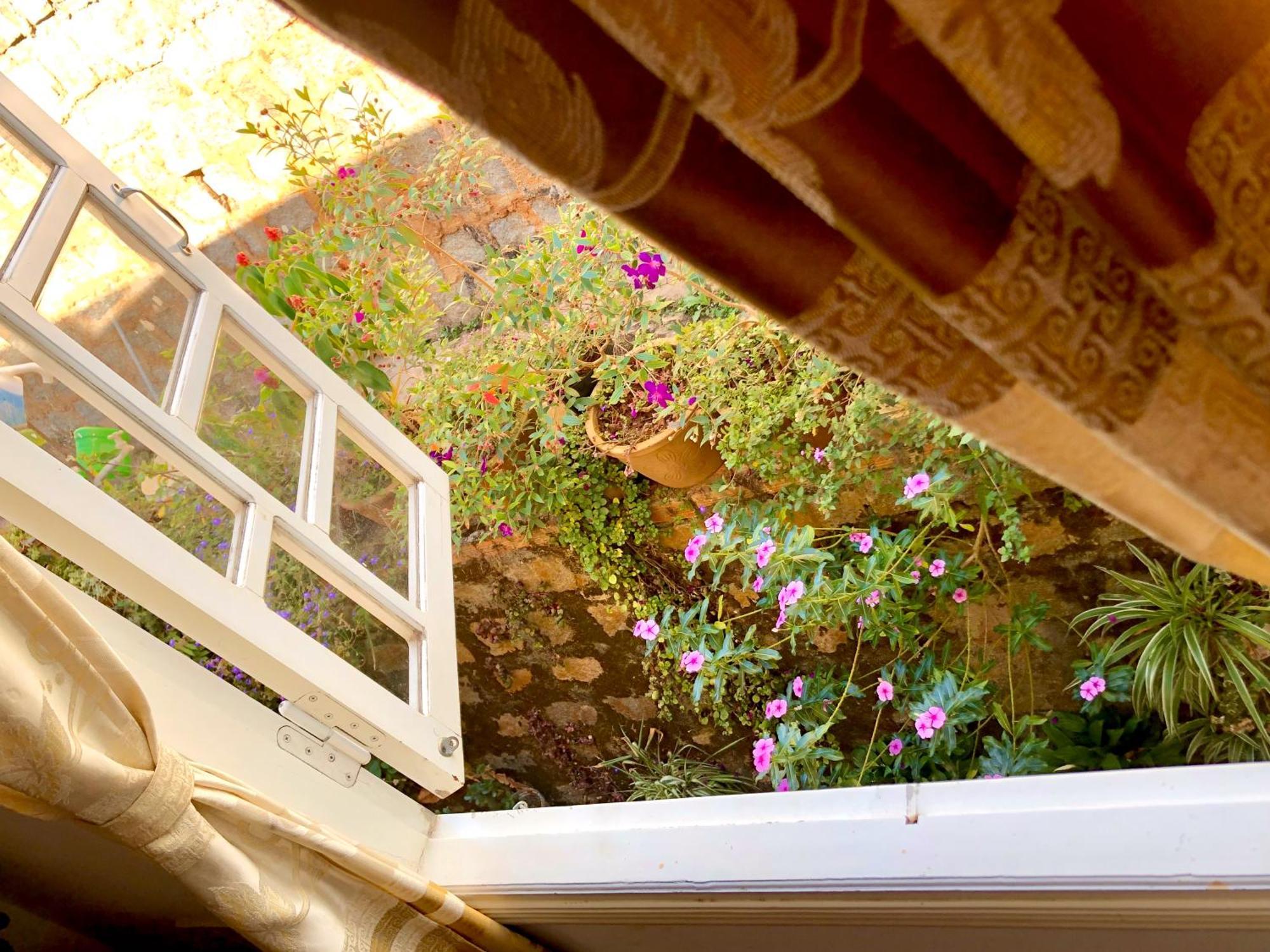 The One Home دالات المظهر الخارجي الصورة